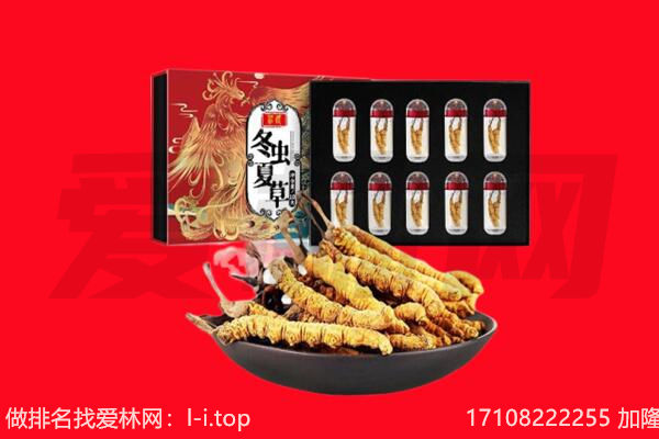 镇赉县回收虫草.jpg